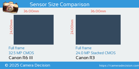 Canon R6 III vs Canon R3 Sensor Size Comparison
