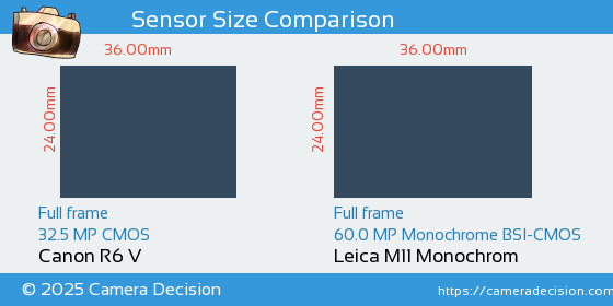 Canon R6 V vs Leica M11 Monochrom Sensor Size Comparison