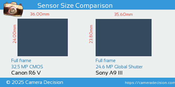 Canon R6 V vs Sony A9 III Sensor Size Comparison