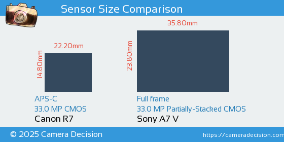 Canon R7 vs Sony A7 V Sensor Size Comparison