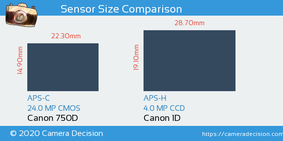 Canon 750D vs Canon 1D Sensor Size Comparison