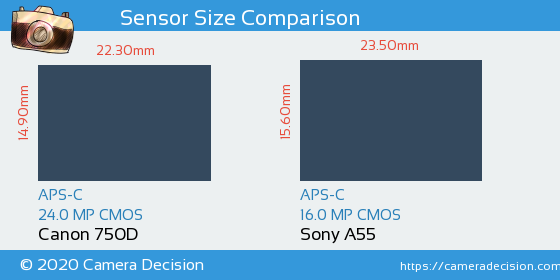 Canon 750D vs Sony A55 Sensor Size Comparison