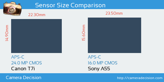 Canon T7i vs Sony A55 Sensor Size Comparison