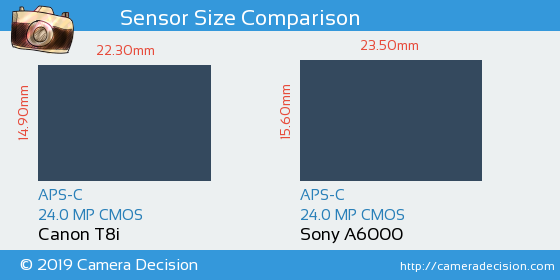 Canon T8i vs Sony A6000 Sensor Size Comparison