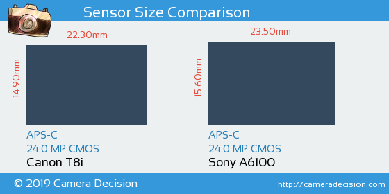 Canon T8i vs Sony A6100 Sensor Size Comparison