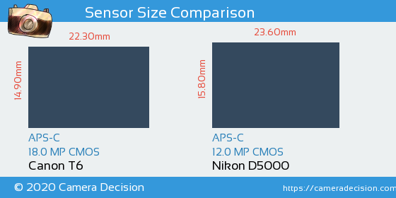 Canon T6 vs Nikon D5000 Sensor Size Comparison