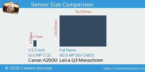 Canon A2500 vs Leica Q3 Monochrom Sensor Size Comparison