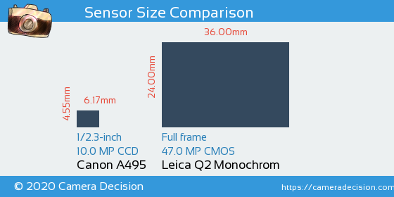 Canon A495 vs Leica Q2 Monochrom Sensor Size Comparison