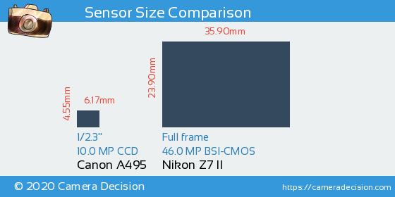 Canon A495 vs Nikon Z7 II Sensor Size Comparison