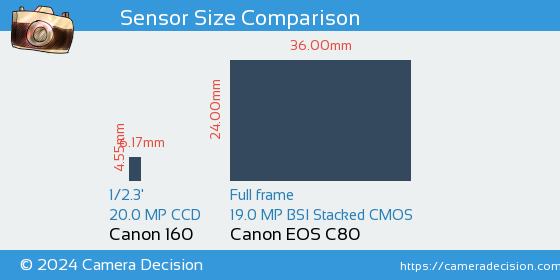 Canon 160 vs Canon EOS C80 Sensor Size Comparison