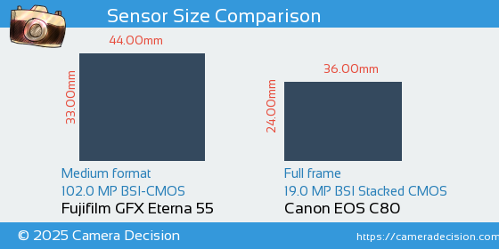 Fujifilm GFX Eterna 55 vs Canon EOS C80 Sensor Size Comparison