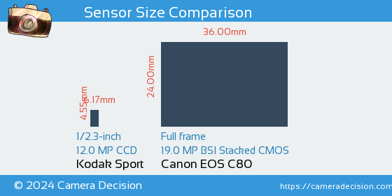 Kodak Sport vs Canon EOS C80 Sensor Size Comparison