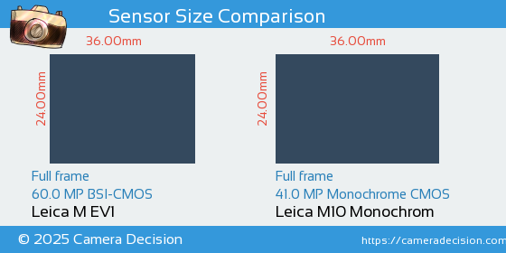 Leica M EV1 vs Leica M10 Monochrom Sensor Size Comparison