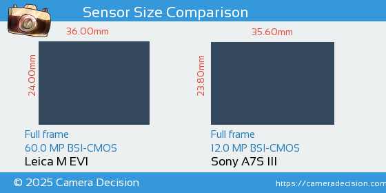 Leica M EV1 vs Sony A7S III Sensor Size Comparison
