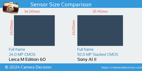 Leica M Edition 60 vs Sony A1 II Sensor Size Comparison