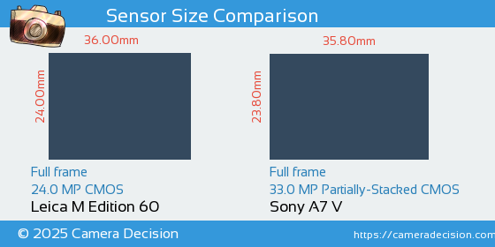 Leica M Edition 60 vs Sony A7 V Sensor Size Comparison