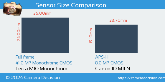 Leica M10 Monochrom vs Canon 1D MII N Sensor Size Comparison