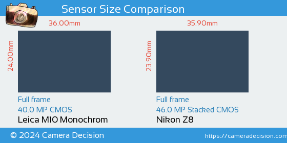 Leica M10 Monochrom vs Nikon Z8 Sensor Size Comparison