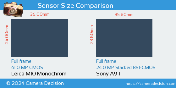 Leica M10 Monochrom vs Sony A9 II Sensor Size Comparison