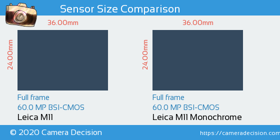 Leica M11 vs Leica M11 Monochrom Sensor Size Comparison