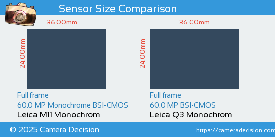 Leica M11 Monochrom vs Leica Q3 Monochrom Sensor Size Comparison