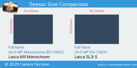 Leica M11 Monochrom vs Leica SL3-S Sensor Size Comparison