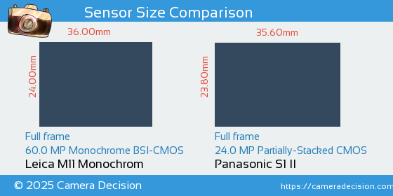 Leica M11 Monochrom vs Panasonic S1 II Sensor Size Comparison