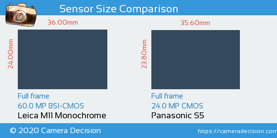 Leica M11 Monochrom vs Panasonic S5 Sensor Size Comparison