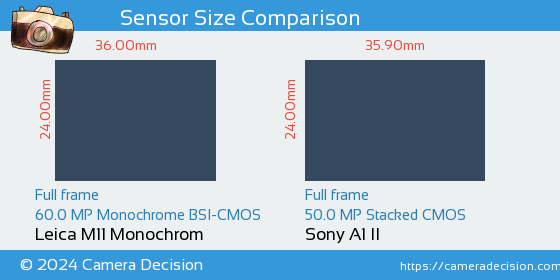 Leica M11 Monochrom vs Sony A1 II Sensor Size Comparison