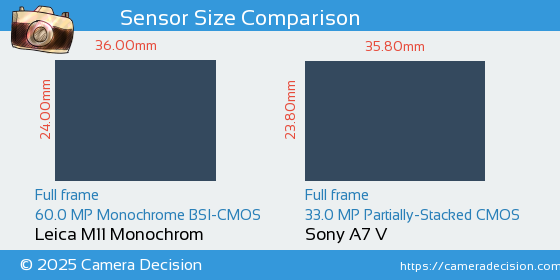 Leica M11 Monochrom vs Sony A7 V Sensor Size Comparison