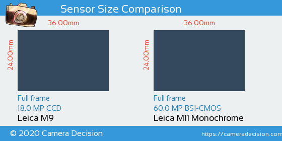 Leica M9 vs Leica M11 Monochrom Sensor Size Comparison
