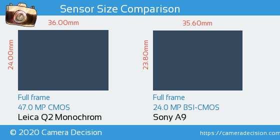 Leica Q2 Monochrom vs Sony A9 Sensor Size Comparison