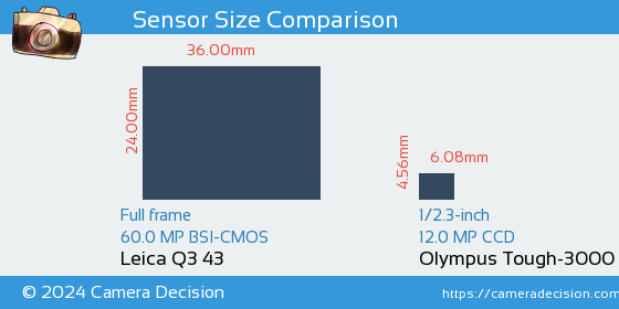 Leica Q3 43 vs Olympus Tough-3000 Sensor Size Comparison