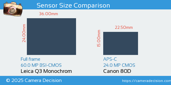 Leica Q3 Monochrom vs Canon 80D Sensor Size Comparison