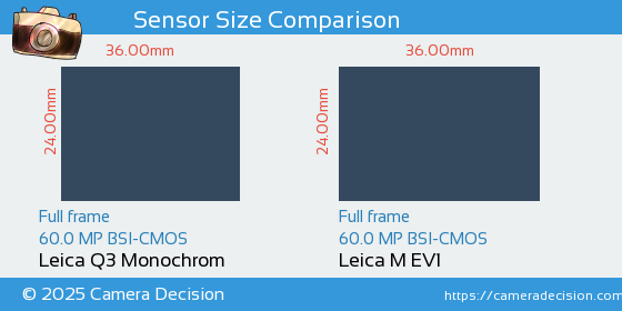 Leica Q3 Monochrom vs Leica M EV1 Sensor Size Comparison