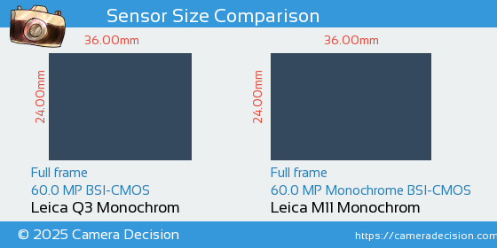 Leica Q3 Monochrom vs Leica M11 Monochrom Sensor Size Comparison