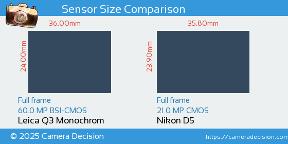 Leica Q3 Monochrom vs Nikon D5 Sensor Size Comparison