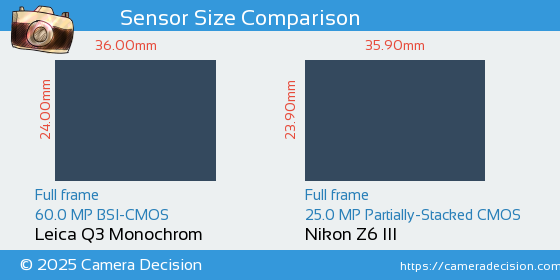Leica Q3 Monochrom vs Nikon Z6 III Sensor Size Comparison