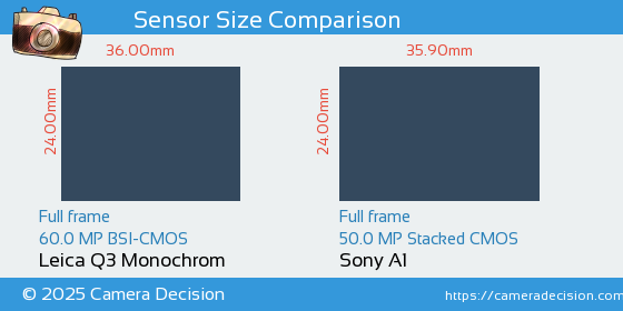 Leica Q3 Monochrom vs Sony A1 Sensor Size Comparison