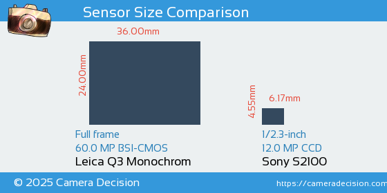 Leica Q3 Monochrom vs Sony S2100 Sensor Size Comparison