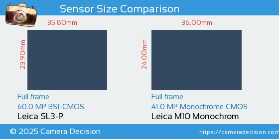 Leica SL3-P vs Leica M10 Monochrom Sensor Size Comparison