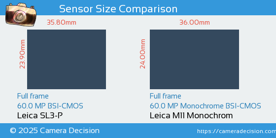 Leica SL3-P vs Leica M11 Monochrom Sensor Size Comparison