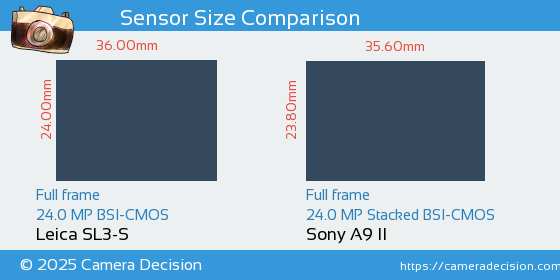 Leica SL3-S vs Sony A9 II Sensor Size Comparison
