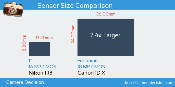 Nikon 1 J3 vs Canon 1D X Sensor Size Comparison