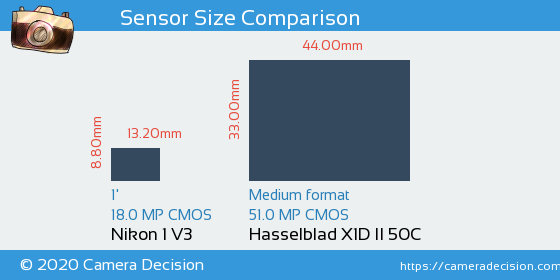 Nikon 1 V3 vs Hasselblad X1D II Sensor Size Comparison