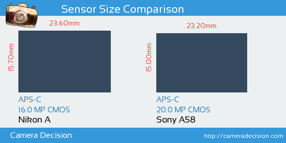 Nikon A vs Sony A58 Sensor Size Comparison
