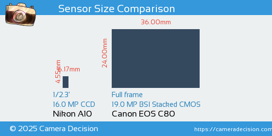 Nikon A10 vs Canon EOS C80 Sensor Size Comparison