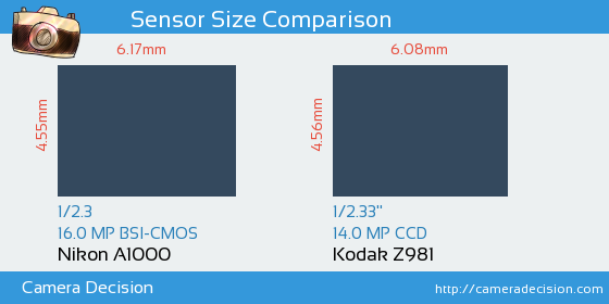 Nikon A1000 vs Kodak Z981 Sensor Size Comparison