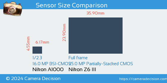 Nikon A1000 vs Nikon Z6 III Sensor Size Comparison