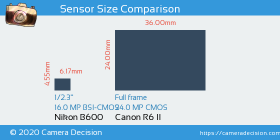 Nikon B600 vs Canon R6 II Sensor Size Comparison